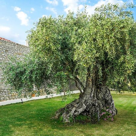 Olivia Resort Potos Dış mekan fotoğraf