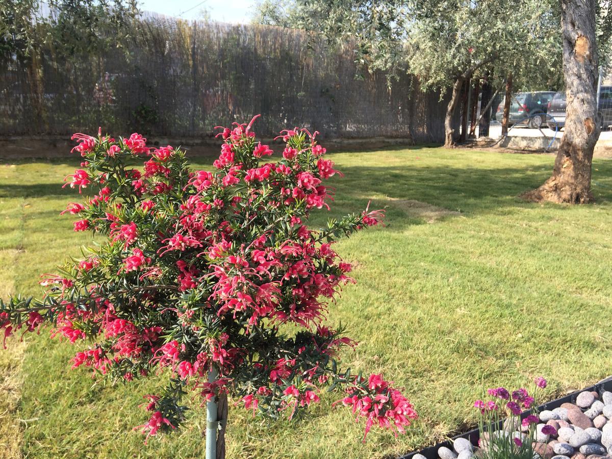 Olivia Resort Potos Dış mekan fotoğraf
